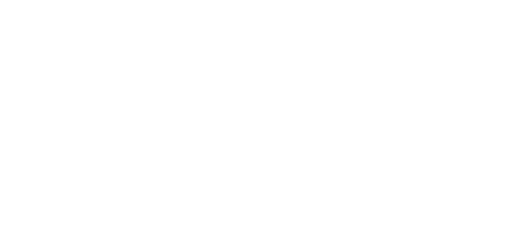 bodicheck