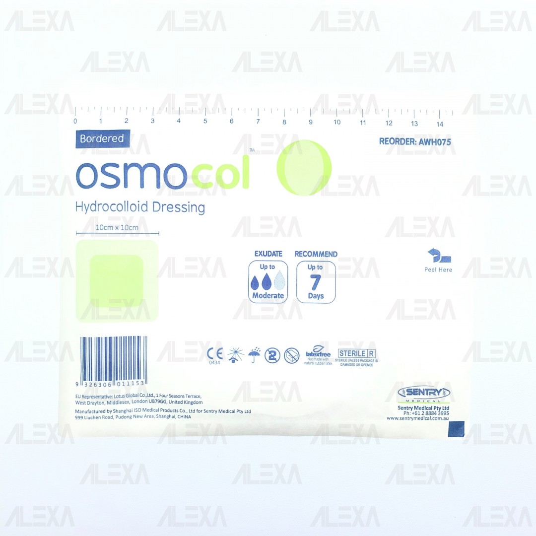 Main